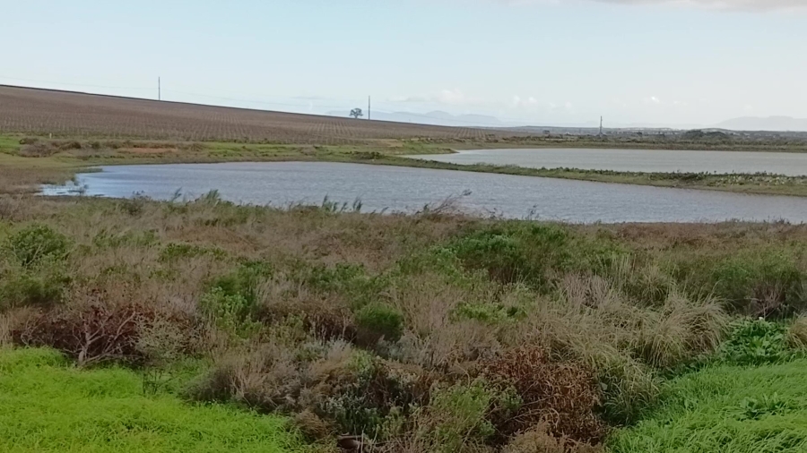 5 Bedroom Property for Sale in Stellenbosch Farms Western Cape